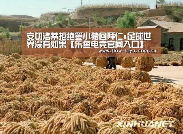 乐鱼电竞app下载