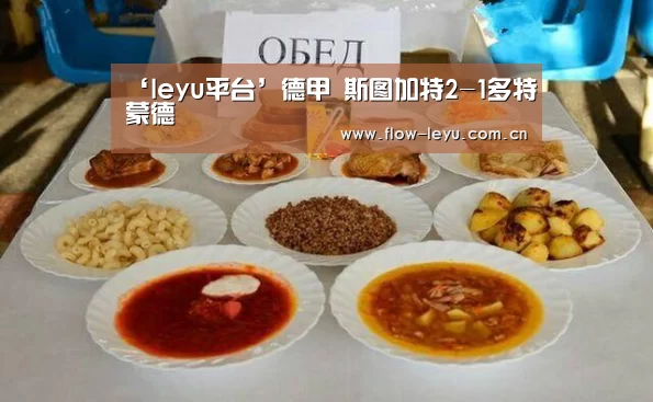 乐鱼电竞app下载