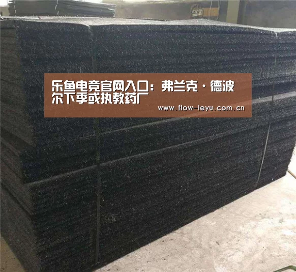 乐鱼电竞官网入口:弗兰克·德波尔下季或执教药厂(图3) 乐鱼电竞官网入口