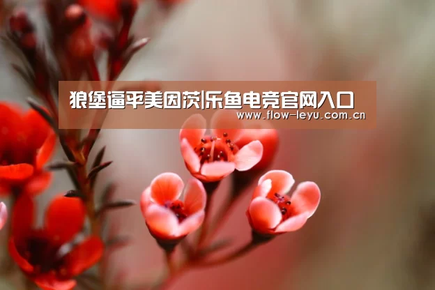 狼堡逼平美因茨|乐鱼电竞官网入口(图3) 乐鱼电竞